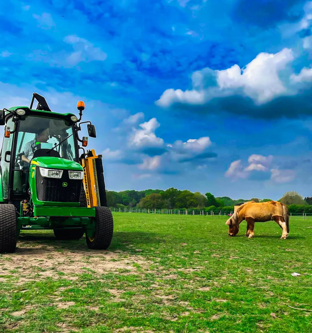paddock maintenance service in Hampshire