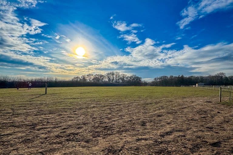 Paddock Rolling service in Hampshire